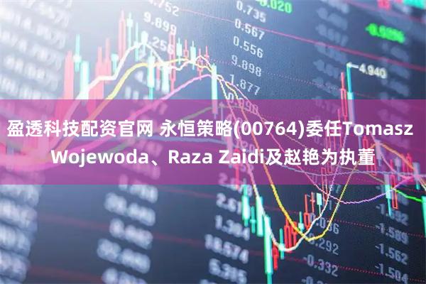 盈透科技配资官网 永恒策略(00764)委任Tomasz Wojewoda、Raza Zaidi及赵艳为执董