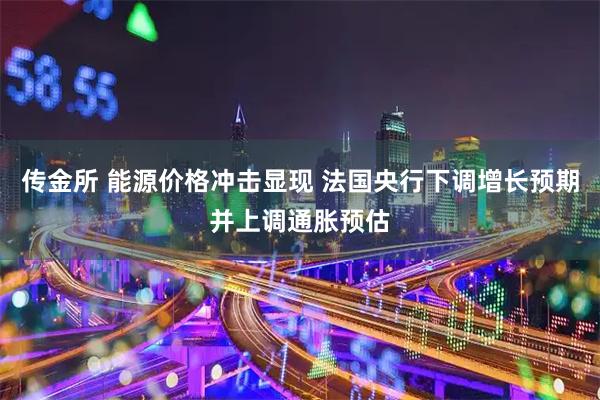 传金所 能源价格冲击显现 法国央行下调增长预期并上调通胀预估