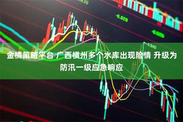金橘策略平台 广西横州多个水库出现险情 升级为防汛一级应急响应